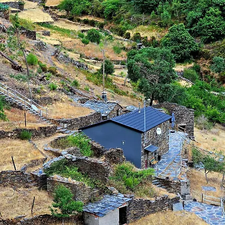 Tojo Piodao